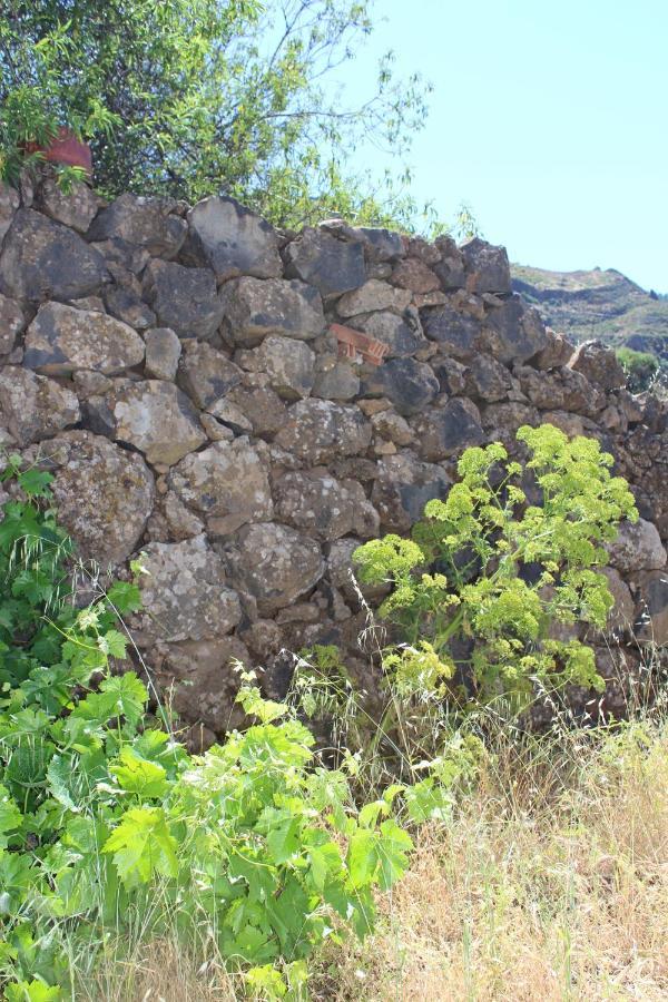 Casa-Finca El Maipez De Tejeda Las Palmas de Gran Canaria Esterno foto