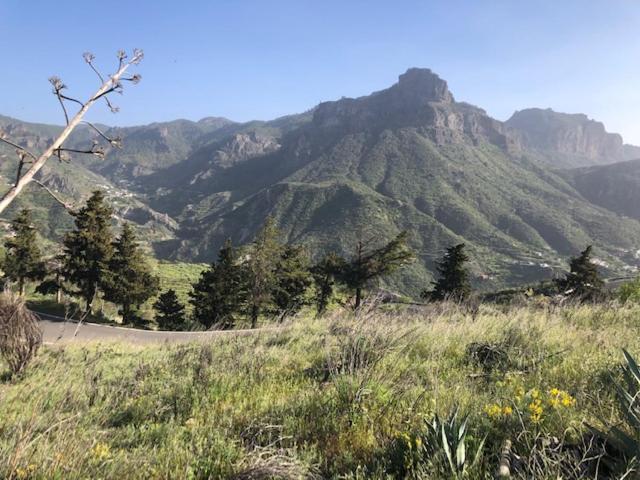 Casa-Finca El Maipez De Tejeda Las Palmas de Gran Canaria Esterno foto