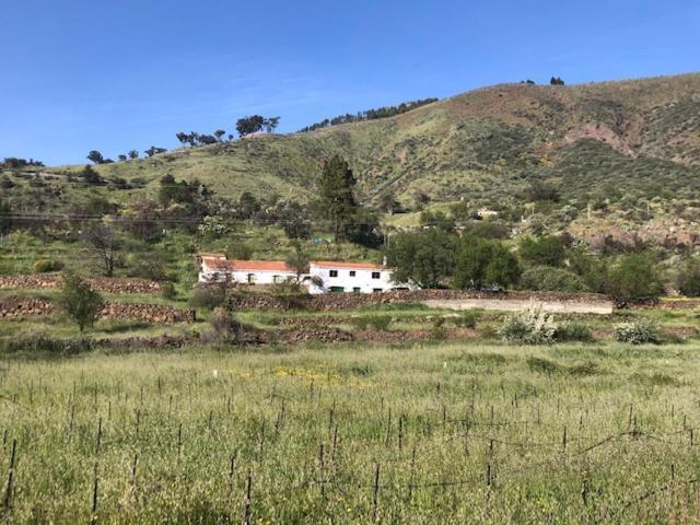Casa-Finca El Maipez De Tejeda Las Palmas de Gran Canaria Esterno foto