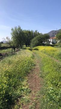 Casa-Finca El Maipez De Tejeda Las Palmas de Gran Canaria Esterno foto