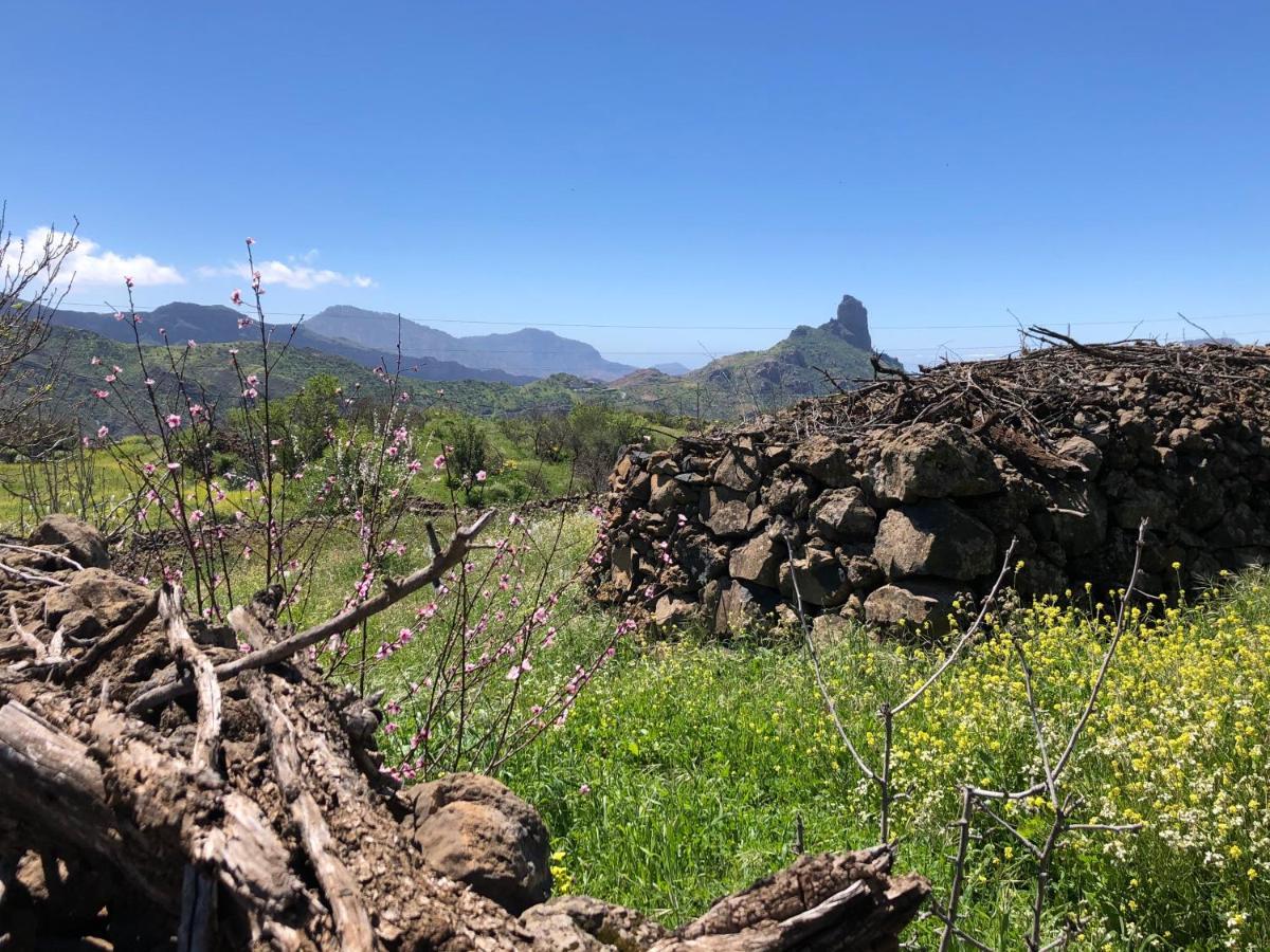 Casa-Finca El Maipez De Tejeda Las Palmas de Gran Canaria Esterno foto