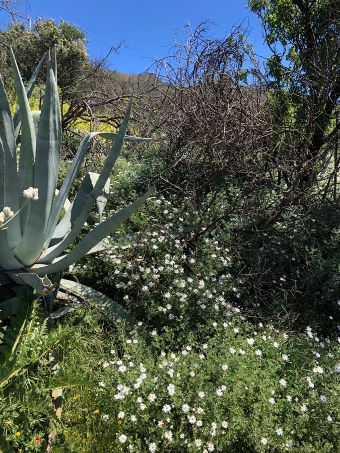Casa-Finca El Maipez De Tejeda Las Palmas de Gran Canaria Esterno foto