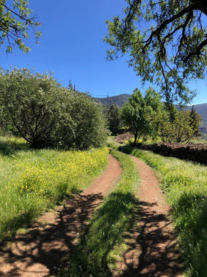 Casa-Finca El Maipez De Tejeda Las Palmas de Gran Canaria Esterno foto